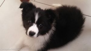 20150728-First day home 2-2